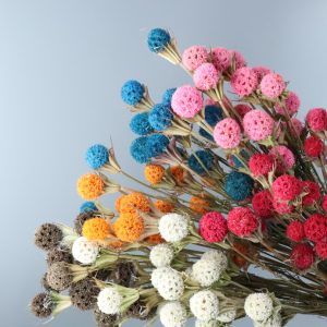 Yunnan dried flower, China